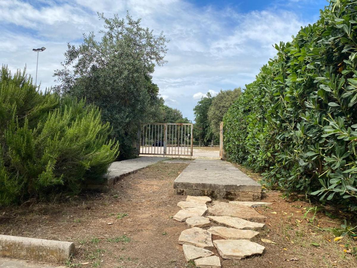 Apartment Soline بيوغْغاد نا موغو المظهر الخارجي الصورة